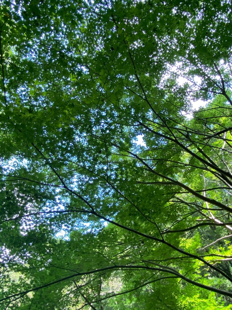 就職してから、長く勤めるコツ 〜障がいをお持ちの方のための事業所〜のイメージ画像