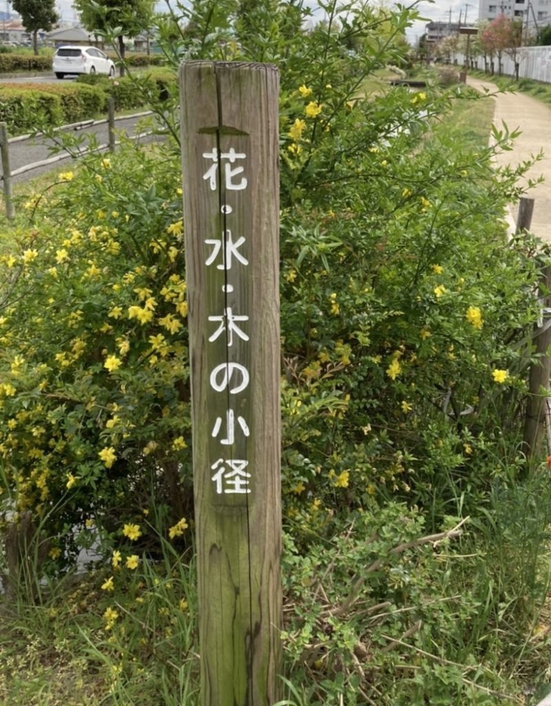 桜(ソメイヨシノ）は、ぼちぼち終わりましたが… のイメージ画像