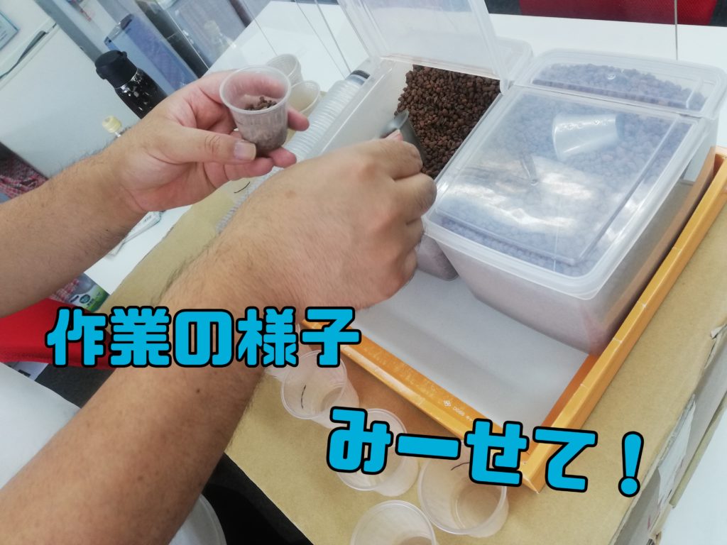 作業風景み～せて！　＼土計量作業／のイメージ画像