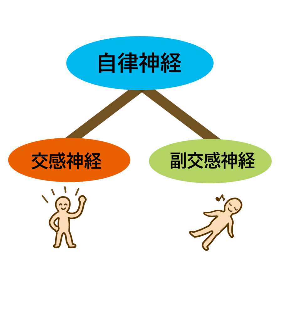 笑顔で自律神経が整う？？？のイメージ画像