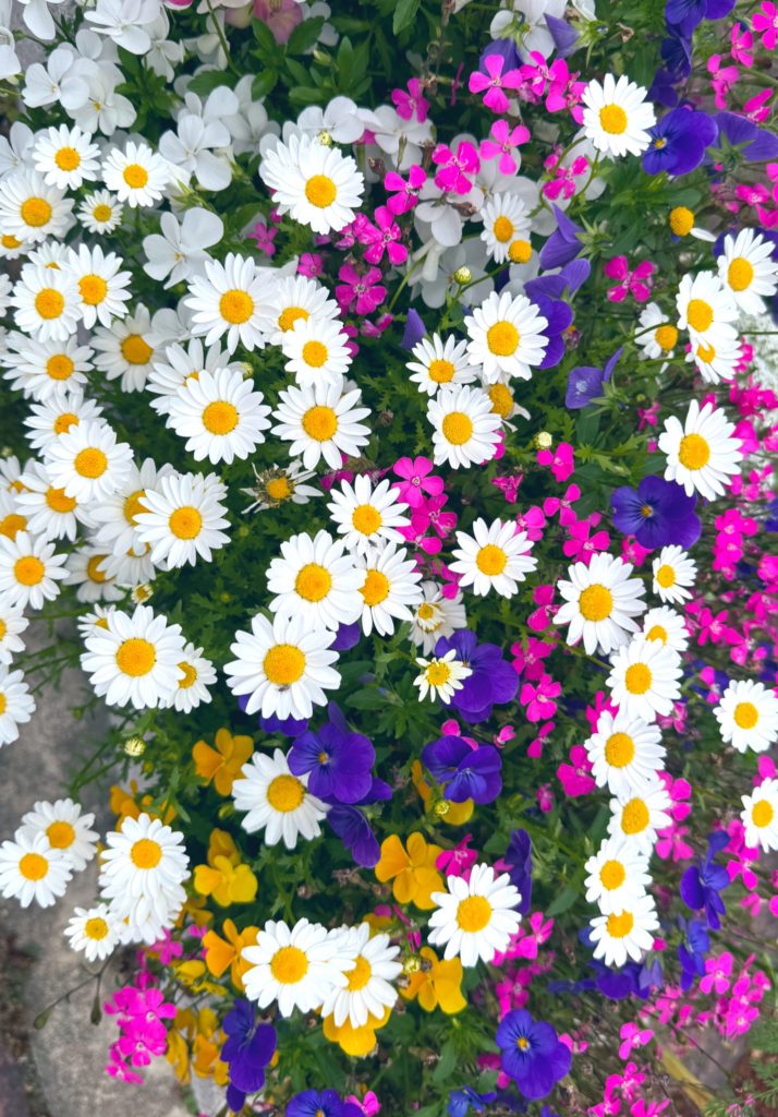 就労移行支援事業所　ラ・レコルト茨木で行っている精神疾患や発達障害、知的障害の方へのサポート　 blogで作品展〜7月編〜のイメージ画像