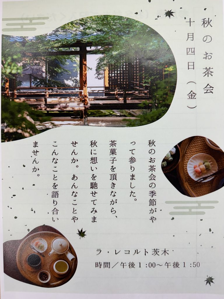 秋のお茶会で、ほっこり体験⁉️のイメージ画像