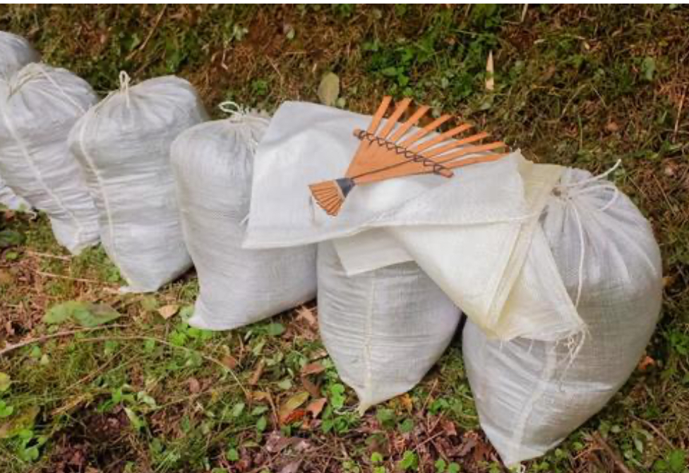 レコルトのプログラムで『社会貢献』️ができるって本当❓ のイメージ画像