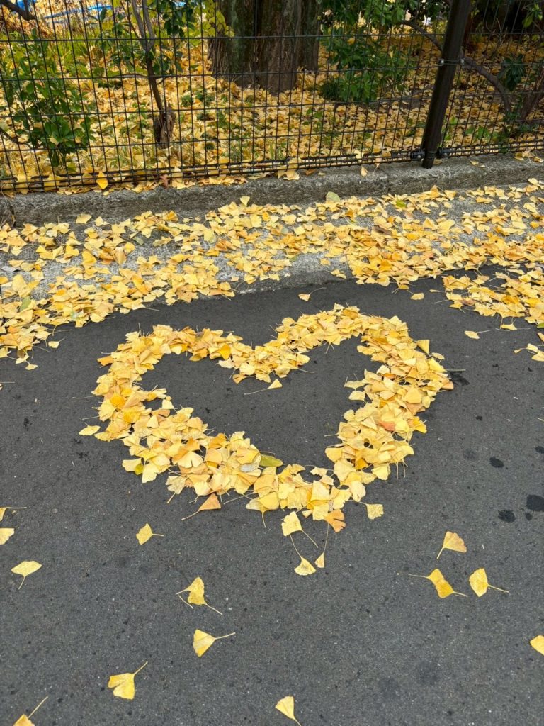 🚶‍♂️就労移行支援の「ウォーキング訓練」とは？のイメージ画像