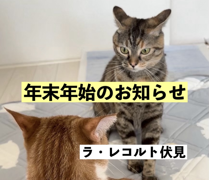 🌟【年末年始の休業期間のお知らせ】🌟のイメージ画像